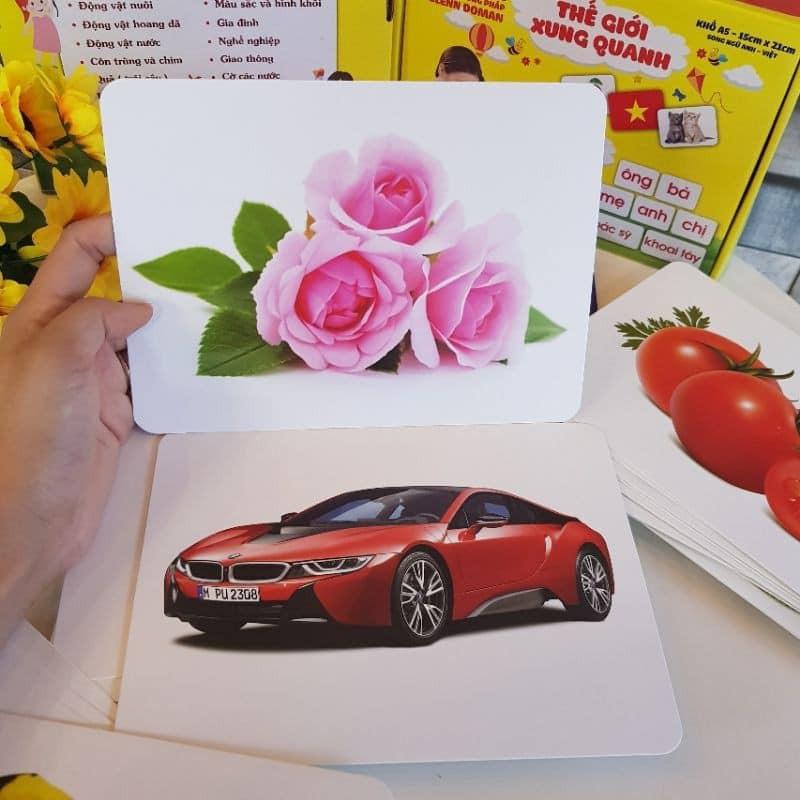 BỘ THẺ HỌC THÔNG MINH THEO PP GELDOMAN . Flash card cho bé