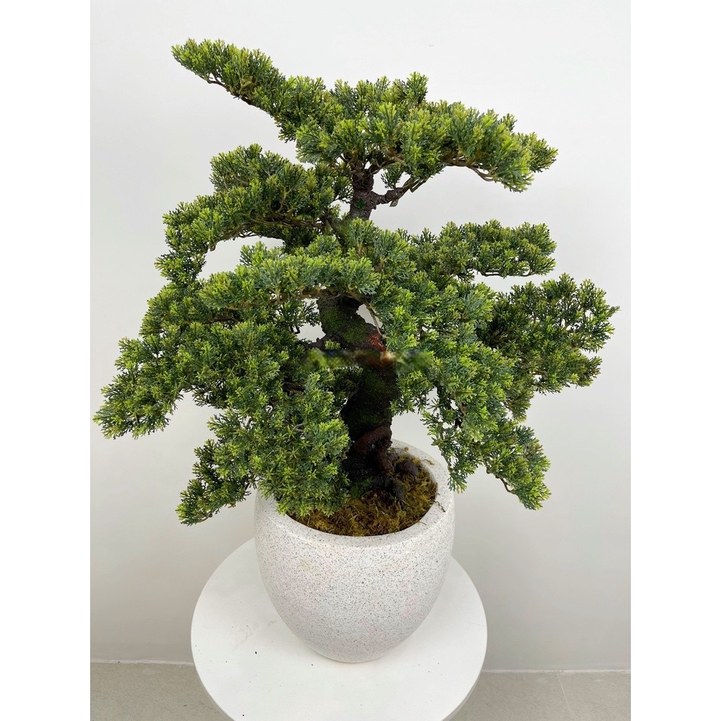 Cây tùng lá ngắn giả - Cây bonsai giả - Cây giả, hoa lụa Decor trang trí nhà cửa