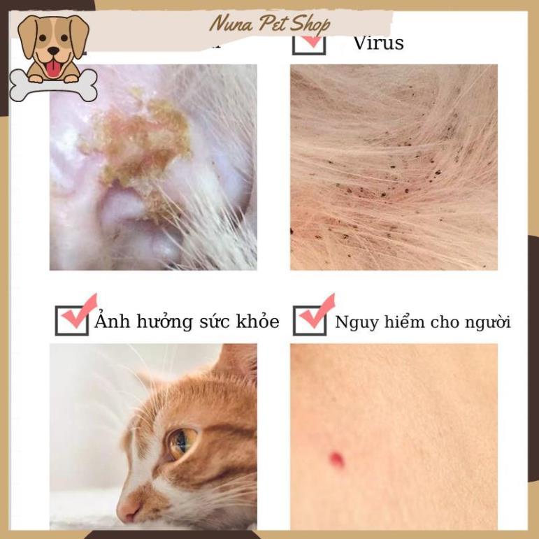Vòng cổ chống ve rận, bọ chét cho thú cưng
