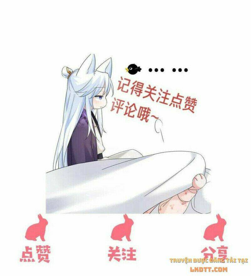 hắc hóa nam chính trực tuyến nuôi thỏ chapter 59 45