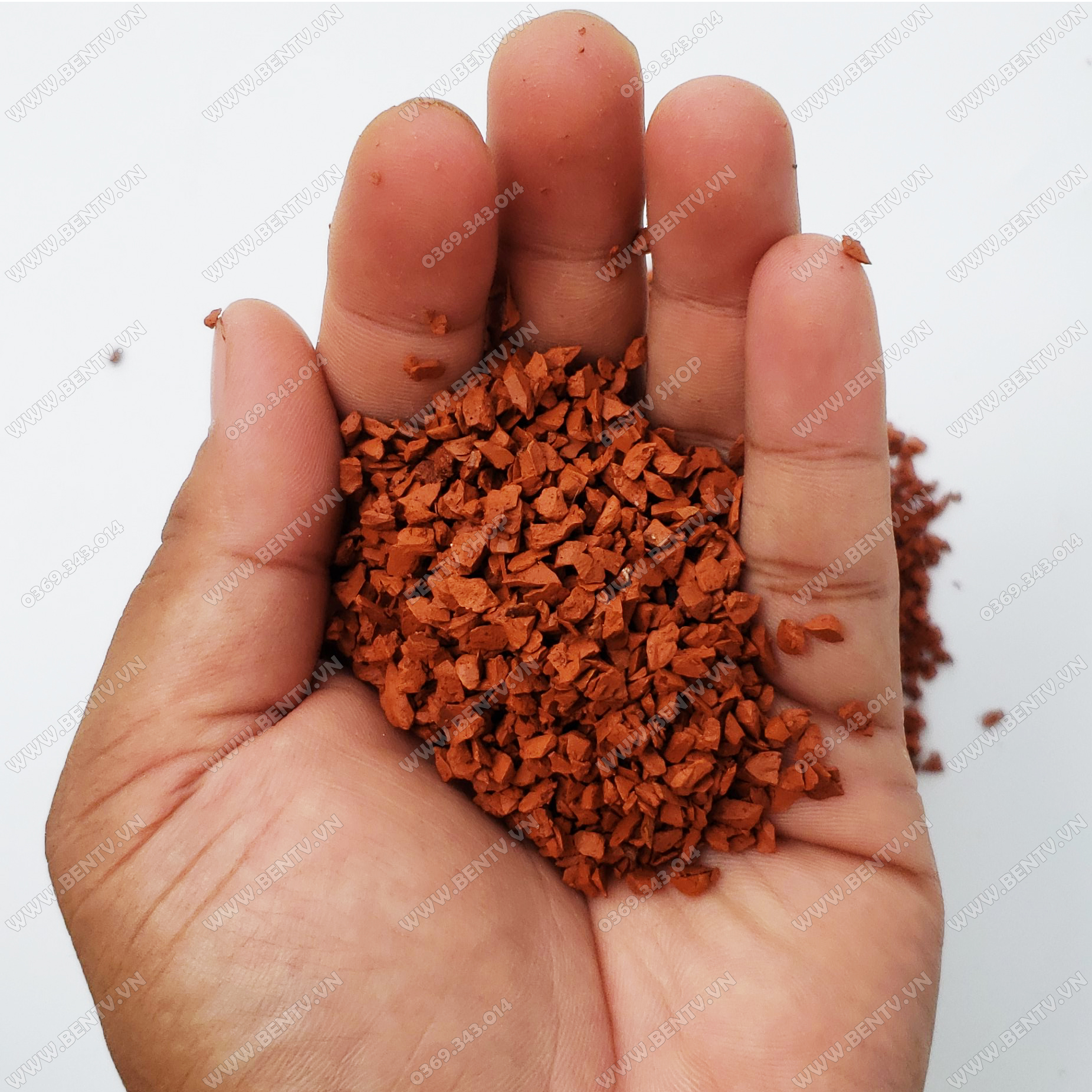 Sạn Gốm Ceramic - Trải Nền Bể Cá Lóc Thủy Sinh