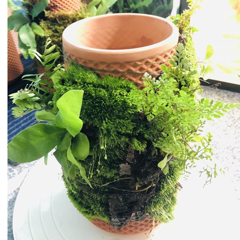 Tháp gốm trồng cây Tháp cây DOOA Tháp cây đứng - TERRA