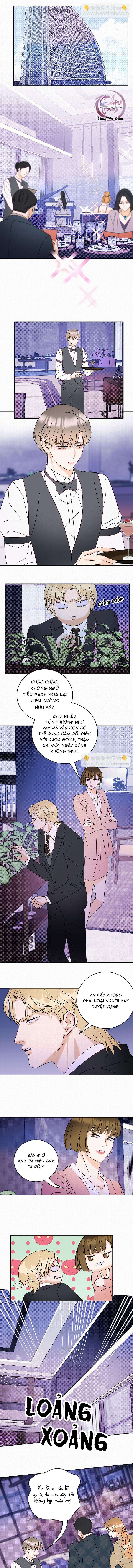 anh trai rẻ tiền của tôi chapter 19 2