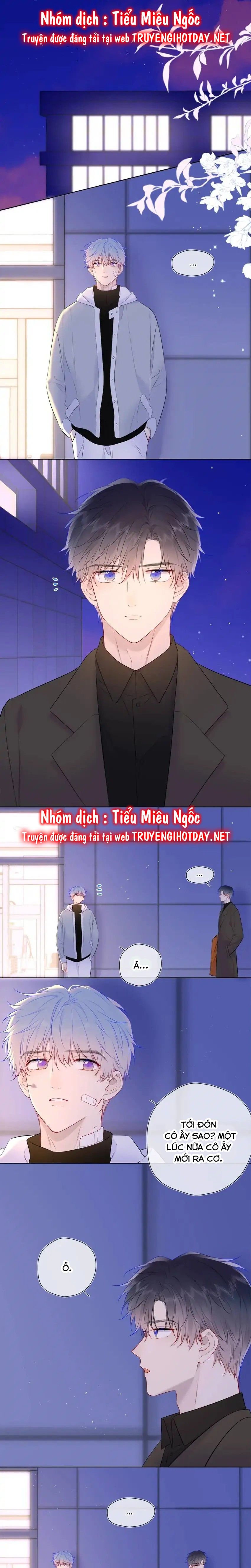 Vì Sao Của Tôi chapter 141 - Trang 12