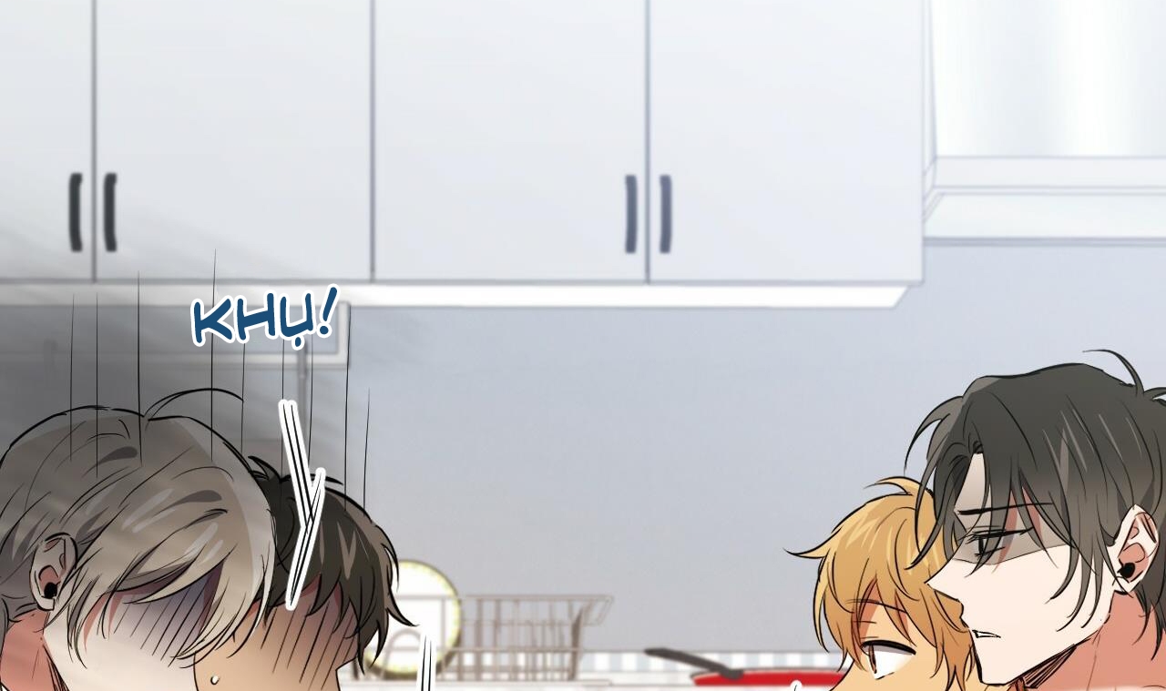 những chú thỏ của hapypy chapter 51 144