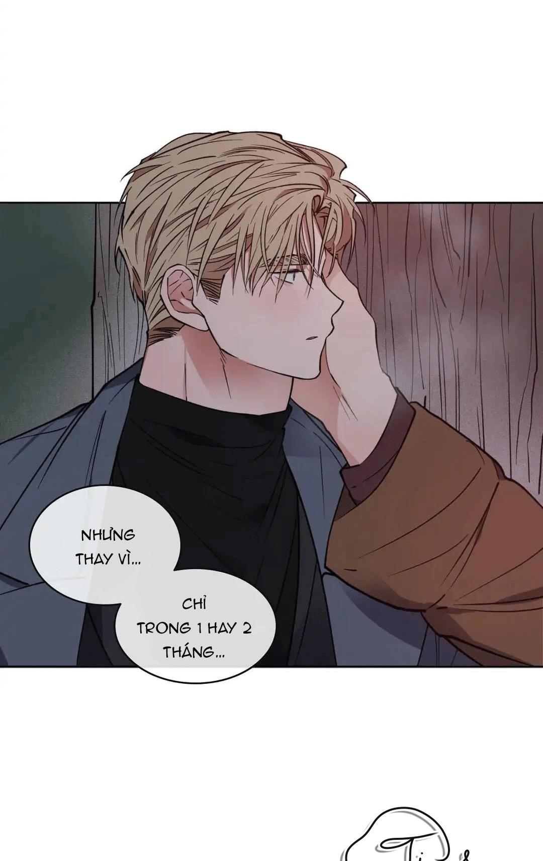 love plan chapter 9 62