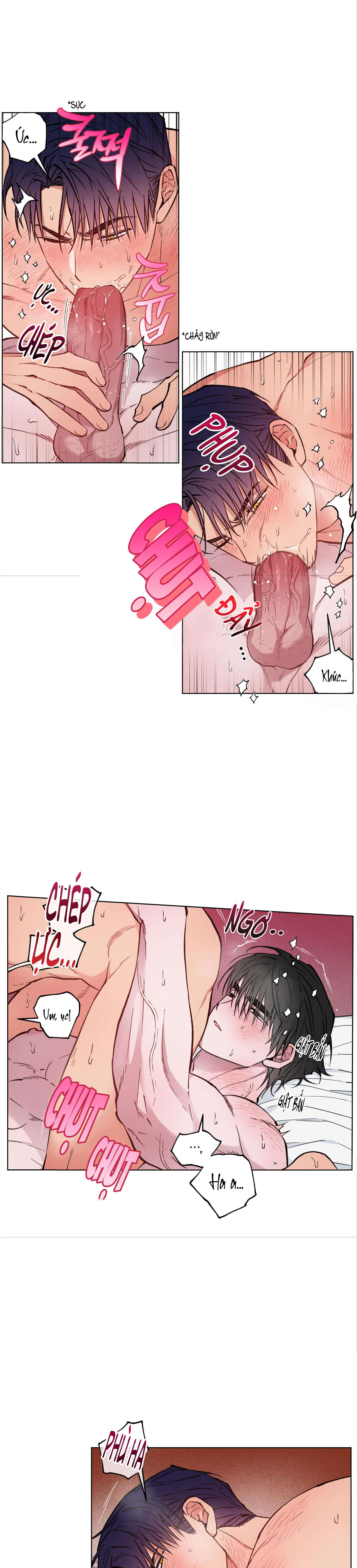 bình minh trên sông mây chapter 19 4