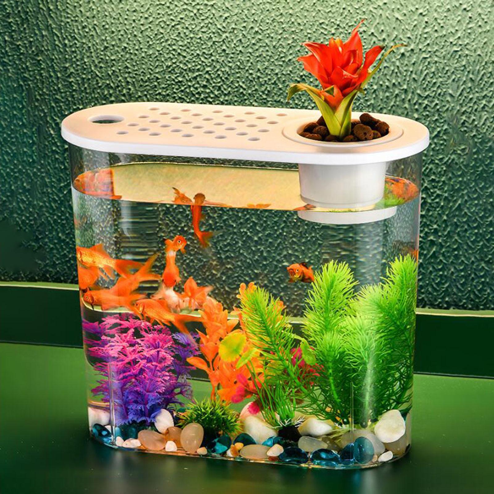 Mini Fish Tank Clear Tank Portable Tabletop Fish Bowl Small Desktop Aquarium