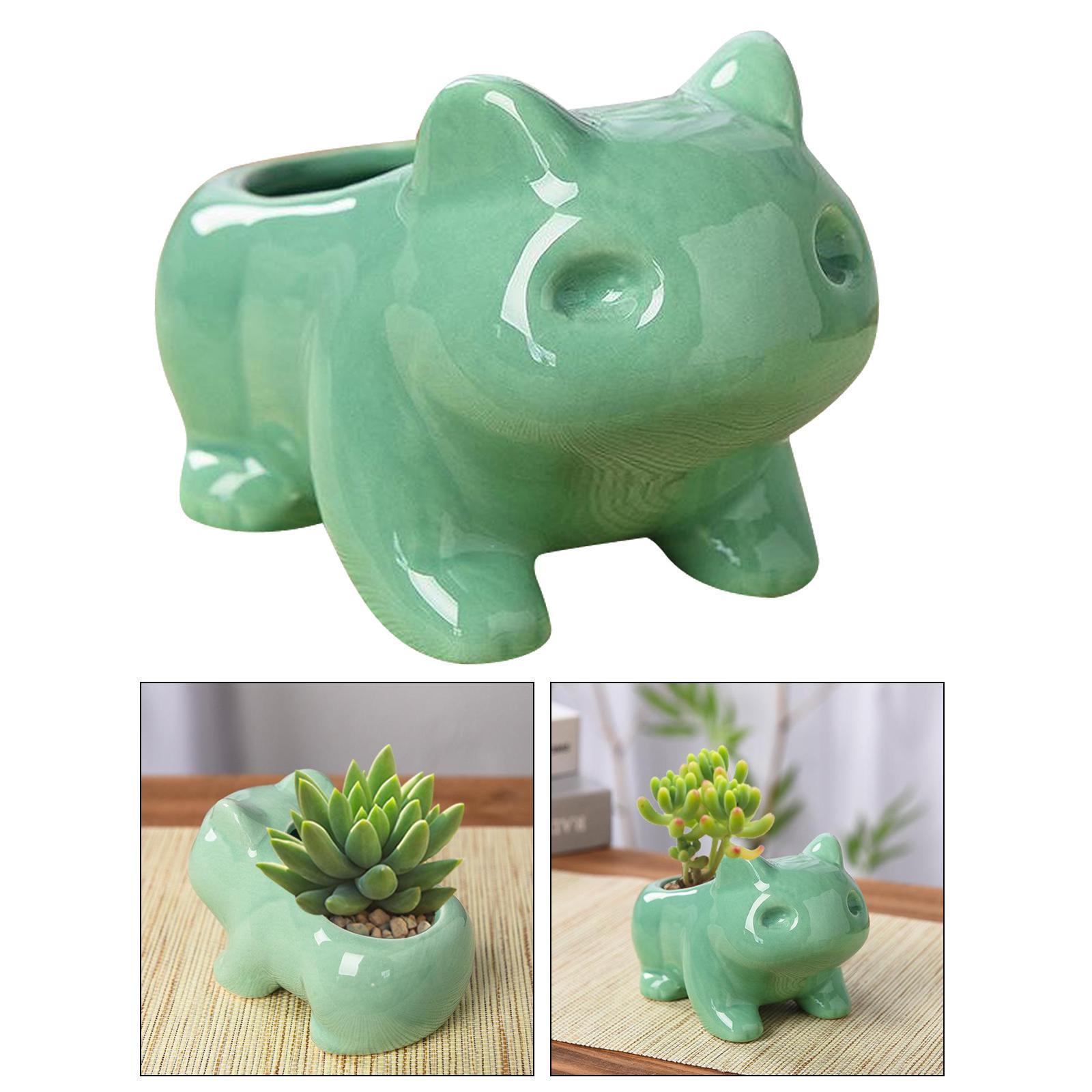 Cute Cartoon Frog Shaped Ceramic Succulent Cactus Pot Decor M