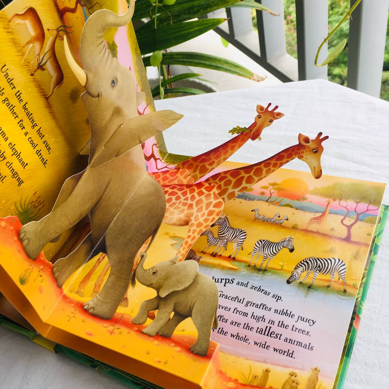 Tuyển tập sách tương tác tiếng Anh Usborne Pop-up books | sách dựng hình 3D