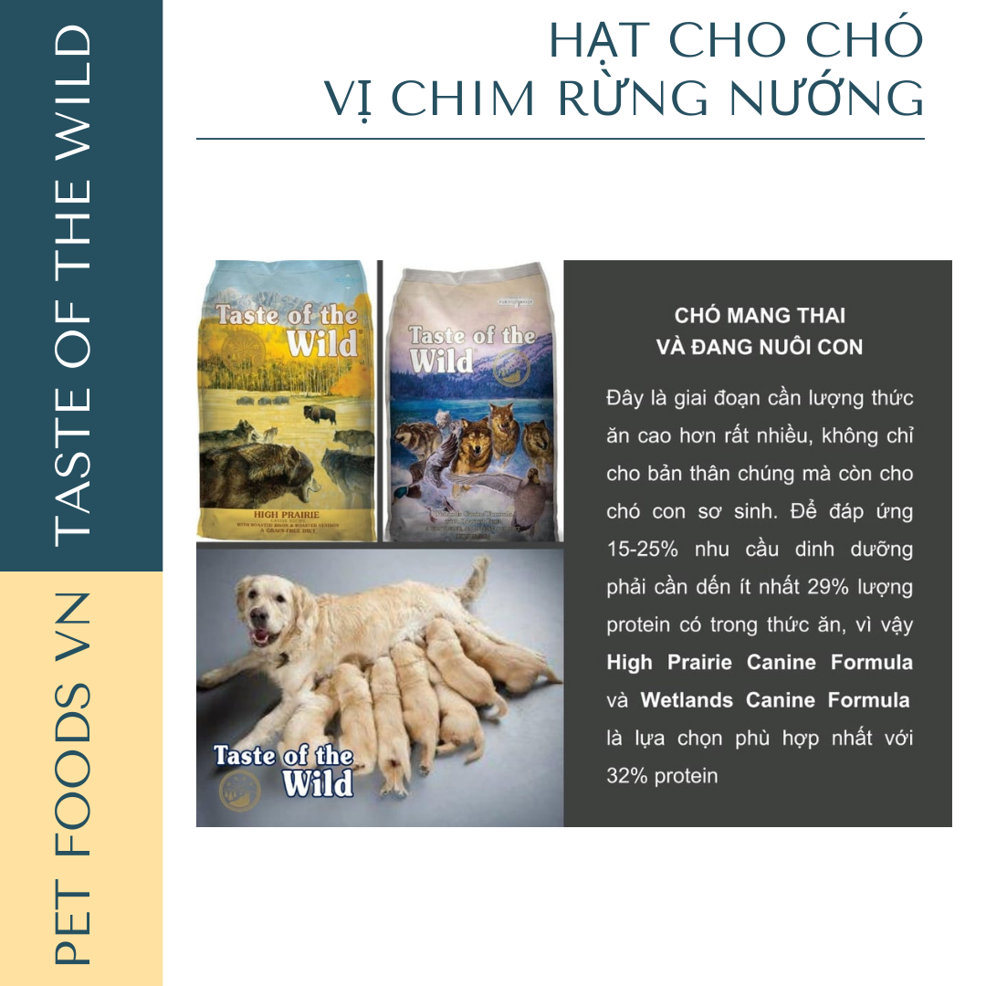 Hạt cho chó TASTE OF THE WILD Wetlands vị Chim Rừng Nướng