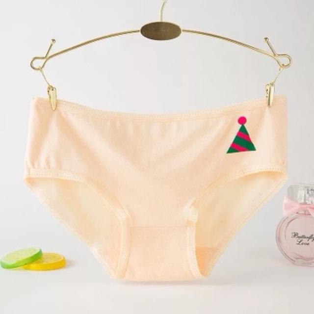 Quần Lót Nữ Cotton Hoa Hồng Thời Trang Xuất Hàn Hàng Loại Đẹp.
