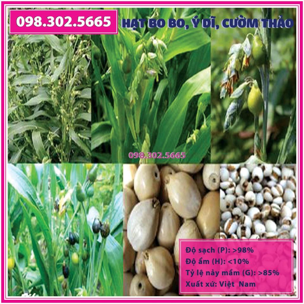 Gói 300g Hạt Cây Bo bo Cây Ý Dĩ Cườm Thảo - dùng cho chăn nuôi gia súc, gia cầm, thiên cầm
