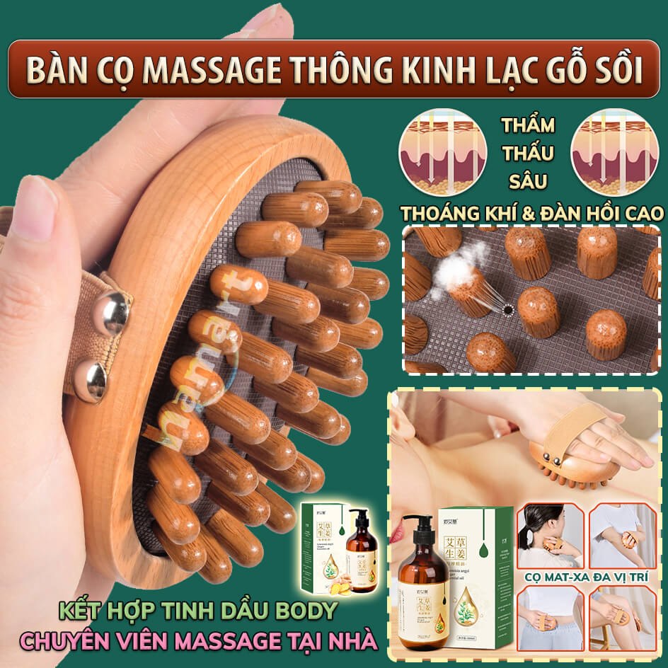 Bàn Chải Massage Thông Kinh Lạc Gỗ Sồi Matxa Body Cơ Thể Thon Gọn Bụng Cọ Thư Giãn Đầu Cổ Vai Gáy
