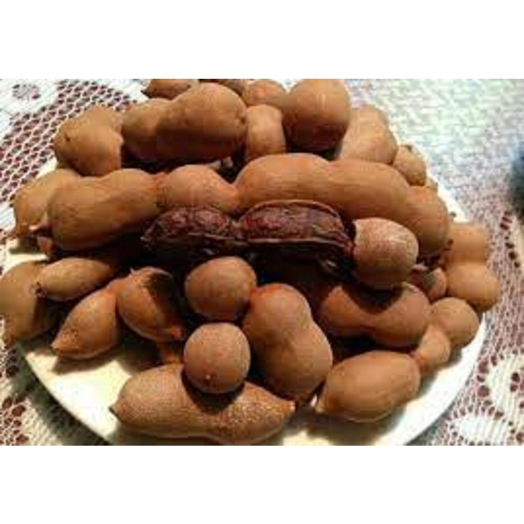 Cây Me Thái giống .