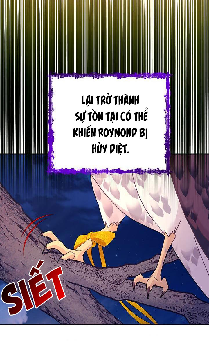 công chúa của loài chim chapter 37.2 5