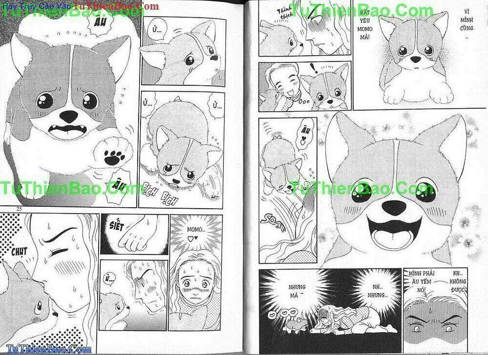 chó con mo mo chapter 2 13