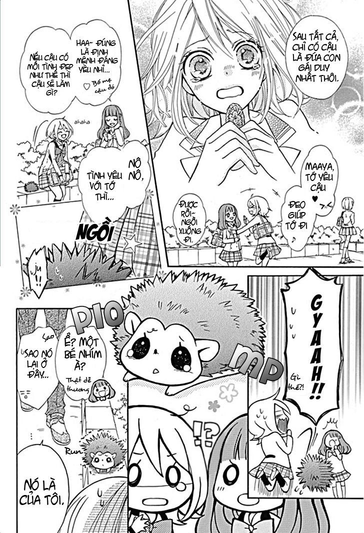 primo prima! chapter 1 7