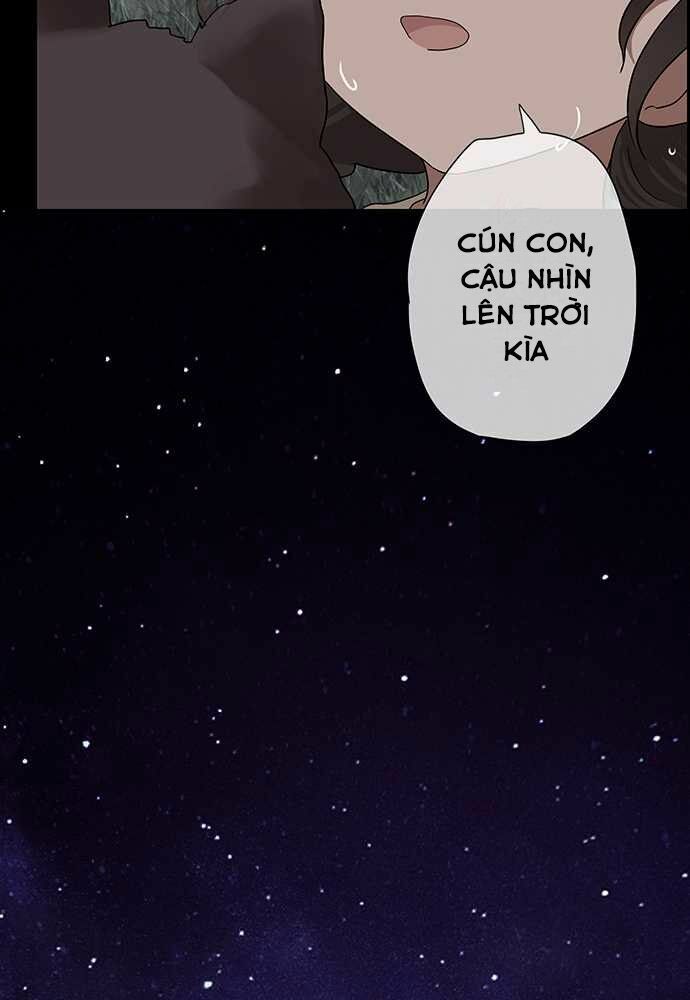 nụ hôn nguyền rủa chapter 27 29