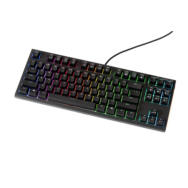 Bàn phím cơ Realforce R2 RGB Tenkeyless 45g - Hàng Chính Hãng