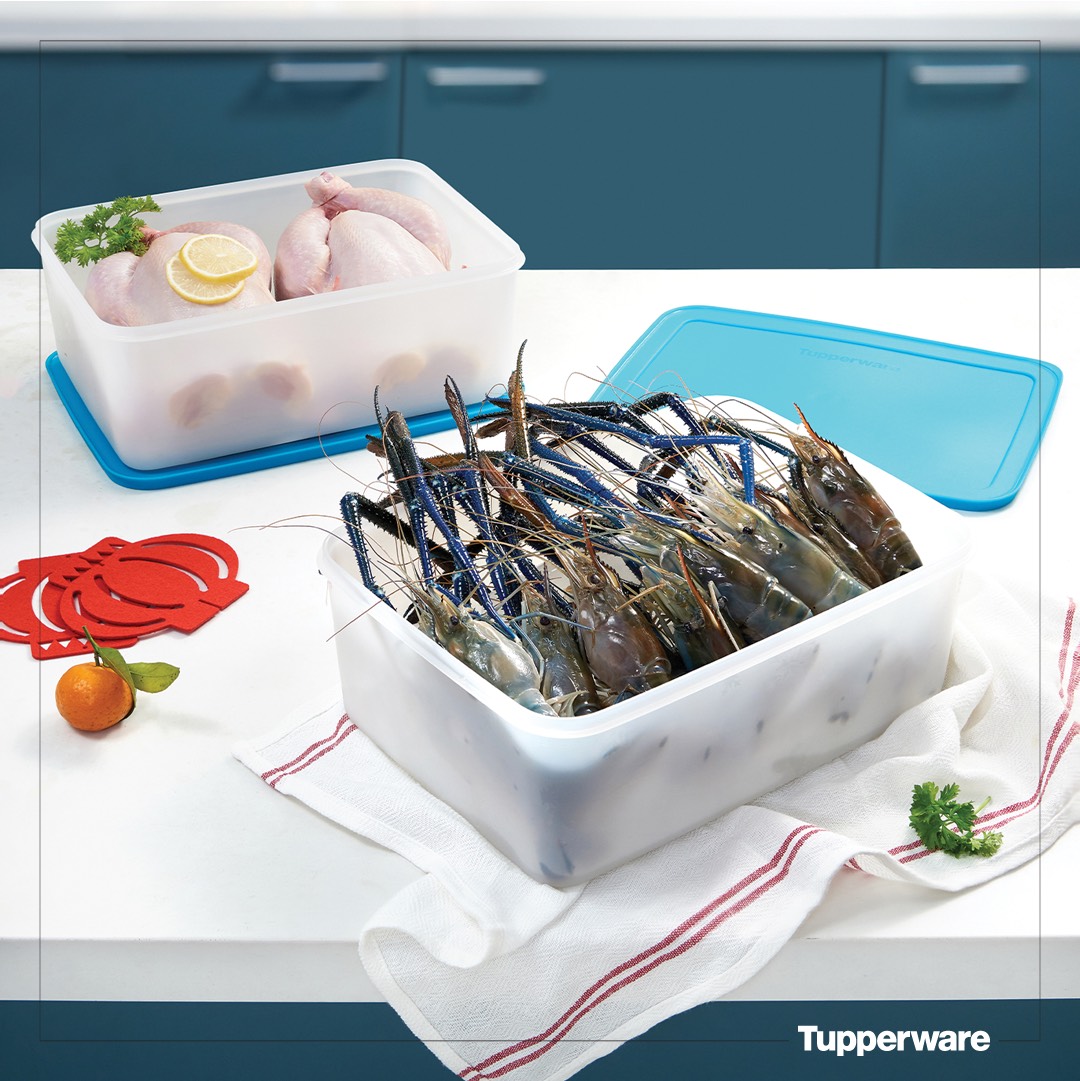 Bộ Trữ Đông Tupperware Freezermate Gen II 5.7L Set 2 Hộp