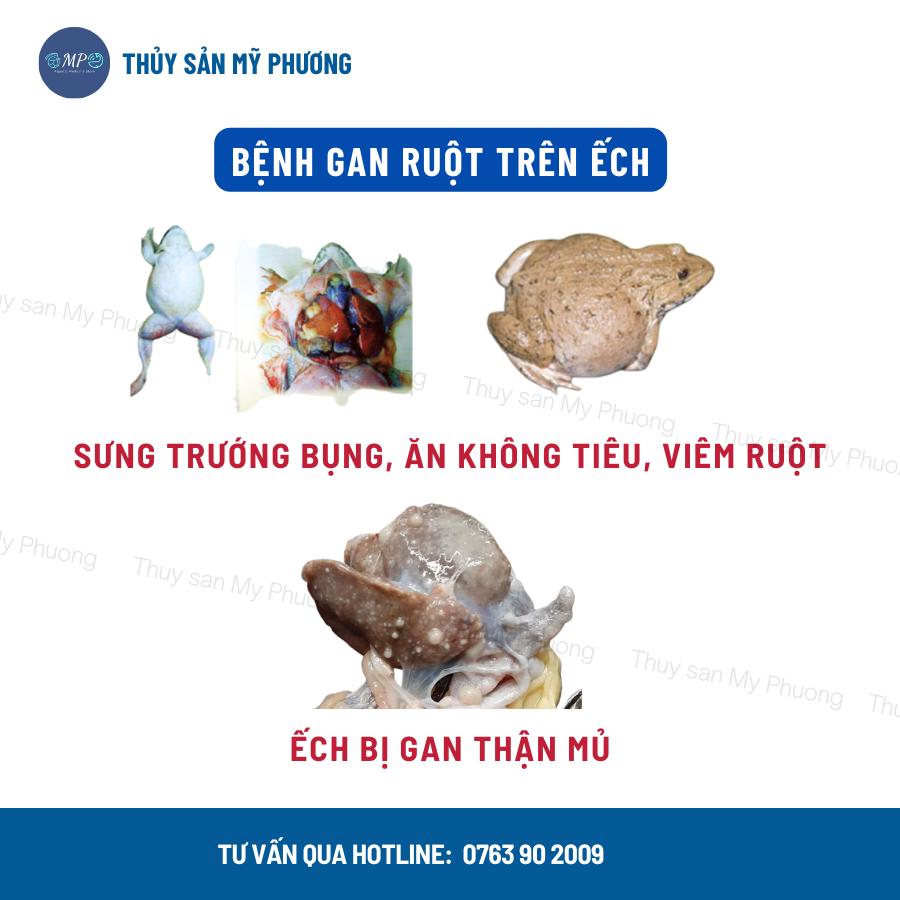 Oxytetracycline Hcl 99% ks ếch niểng đầu vẹo cổ đỏ chân mù lồi mắt sưng gan thận mủ viêm ruột sình xuất huyết da ứ nước