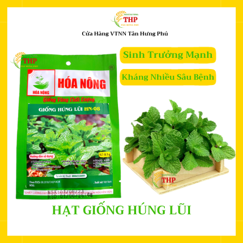 Hạt giống Húng Lũi HN-08 | Hạt Giống | gói 0.1gr
