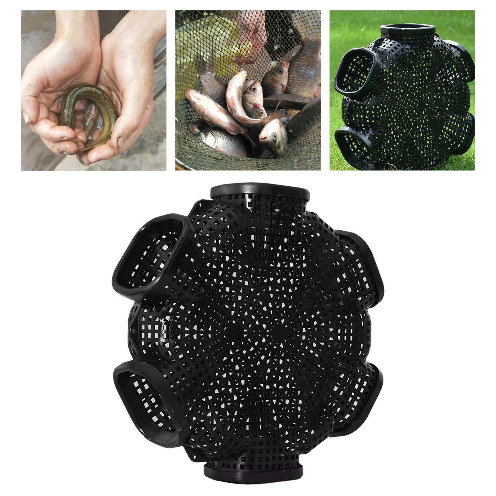 6 Hole Fishing Eel Cage   Baits Mesh for Prawn Lobster Crawdad