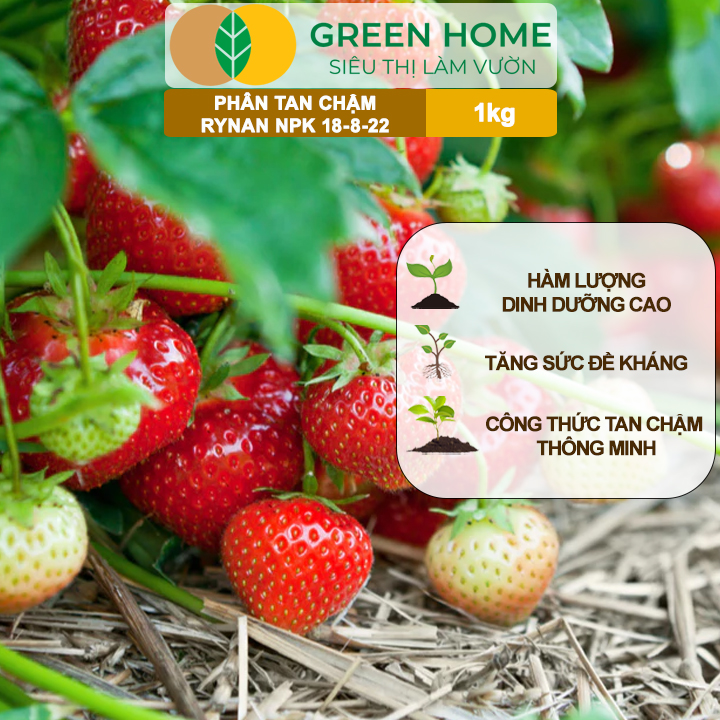 Phân Tan Chậm GreenHome, Rynan NPK 18-8-22, Túi 1kg, Dùng Cho Cây Ăn Trái,Cây Lâu Năm Phục Hồi Nhanh
