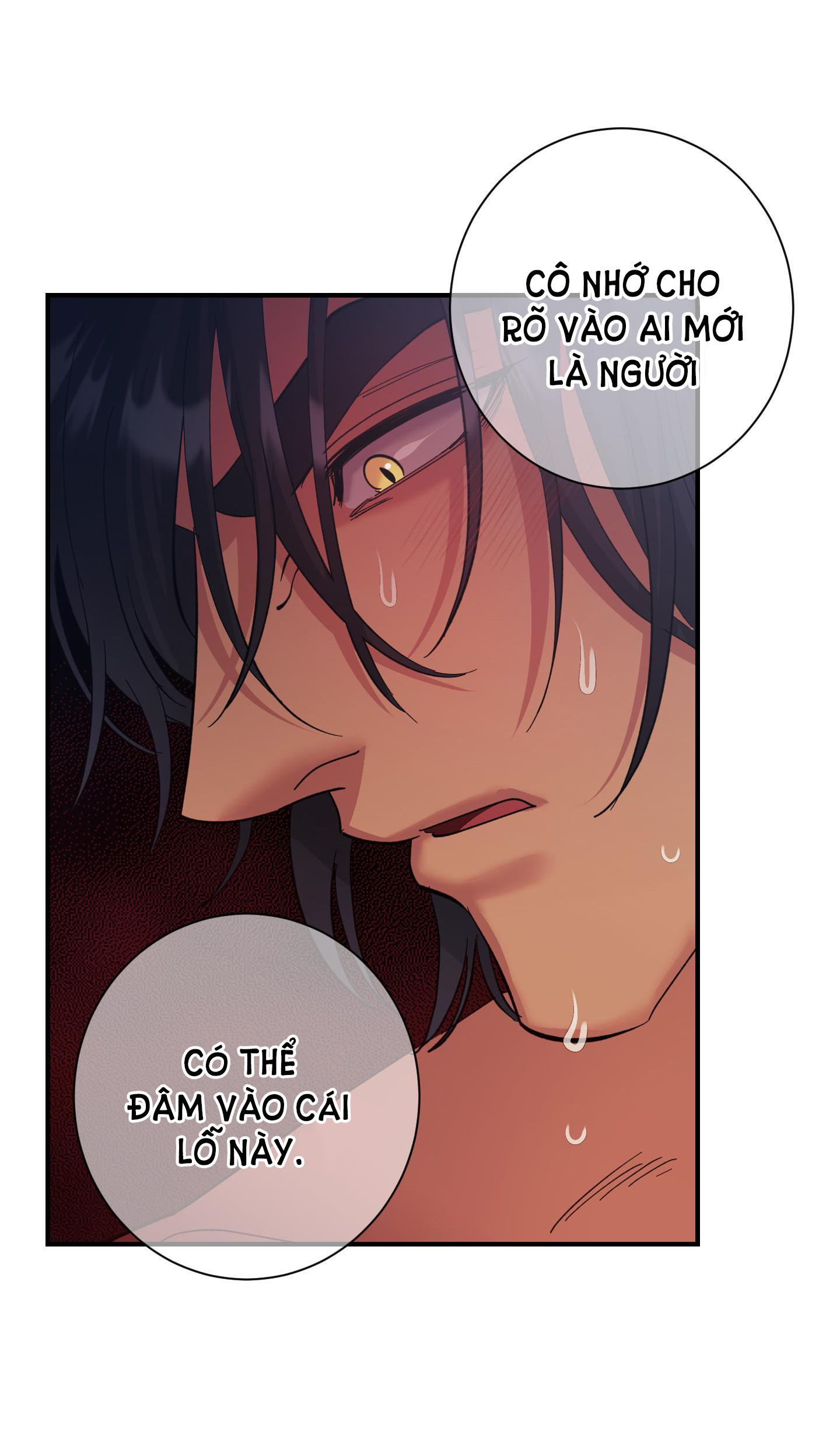 [18+] một lòng một dạ chapter 31.2 25