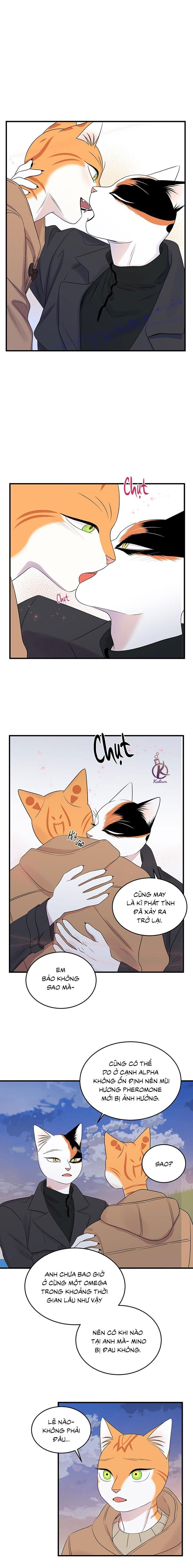 dự án xanh chapter 55 1