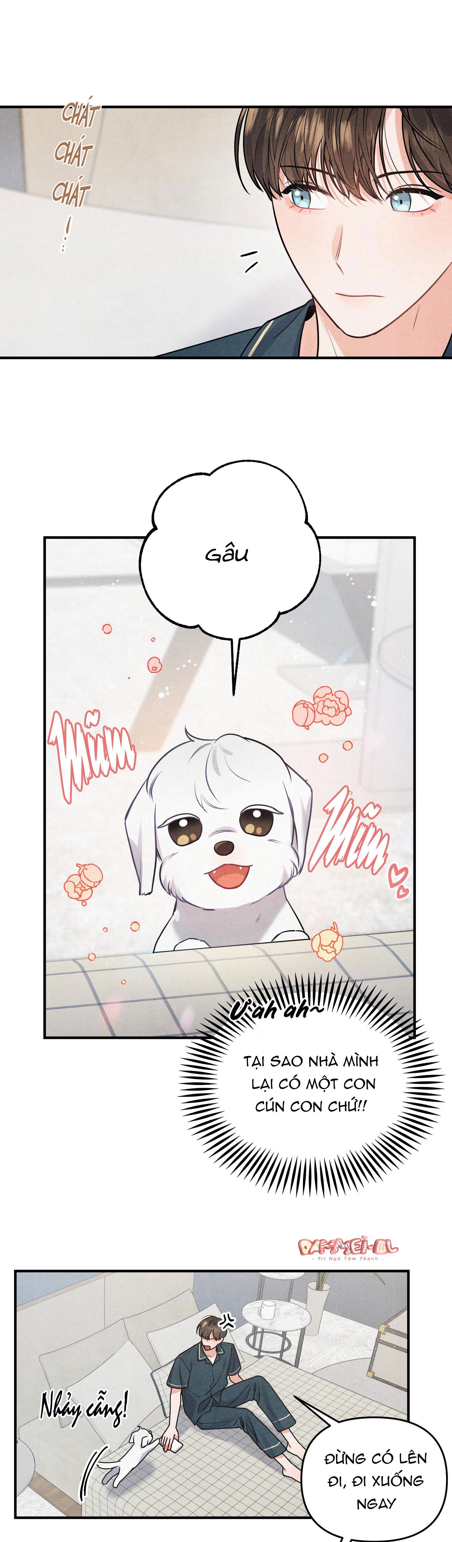 mối quan hệ ngu ngốc chapter 1 3