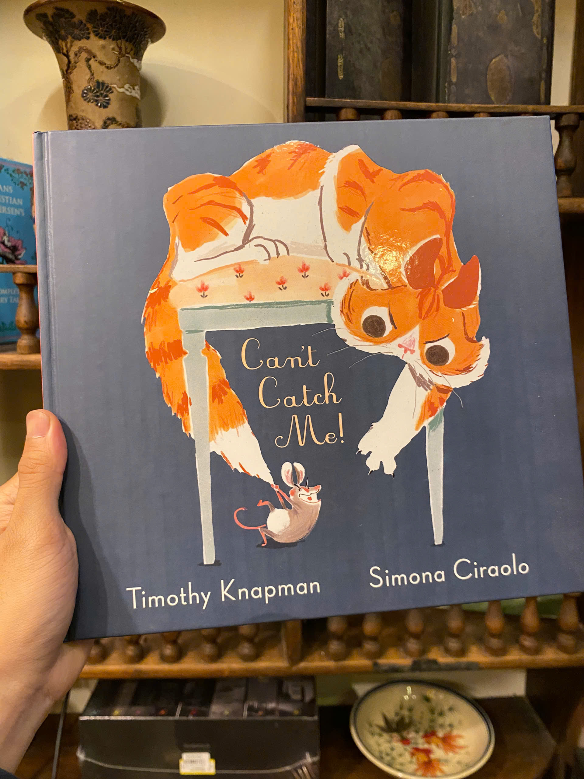 Sách - Can't Catch Me! by Timothy Knapman | English Children's Picture Book | Sách bìa cứng