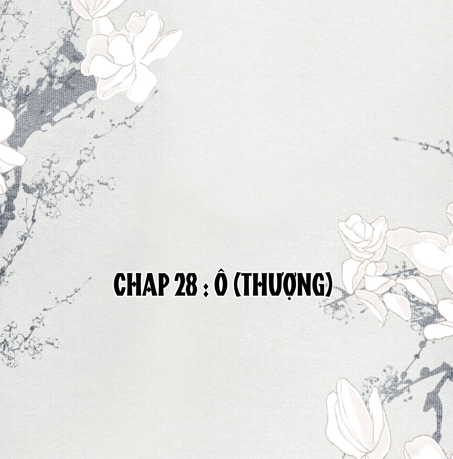 không cẩn thận cứu phải kẻ thù của giang hồ chapter 28 2