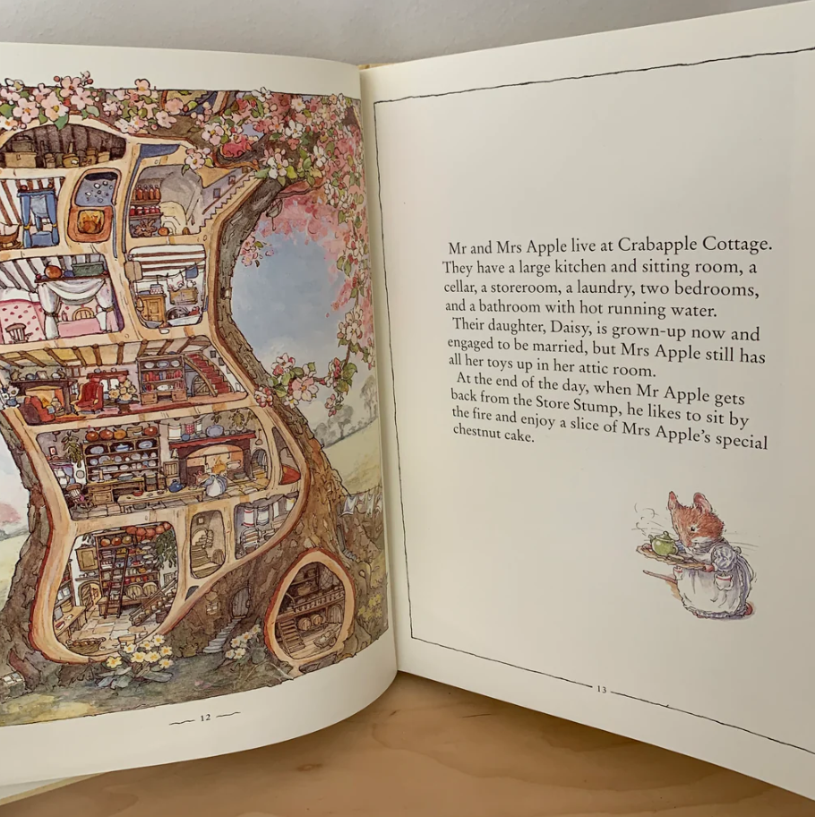 The Brambly Hedge Library Collection - 8 Books ( Miền Dâu Dại Bản Tiếng Anh) | Sách Nhập Khẩu