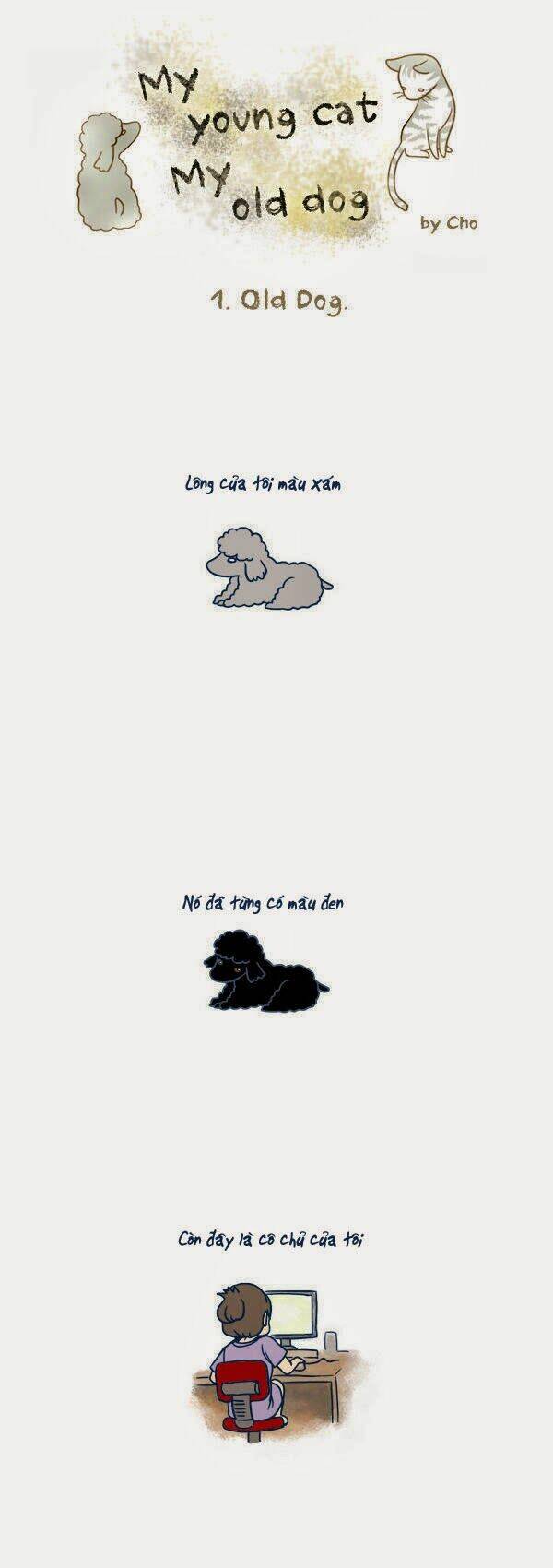 mèo con và chú chó già của tôi chapter 2 1