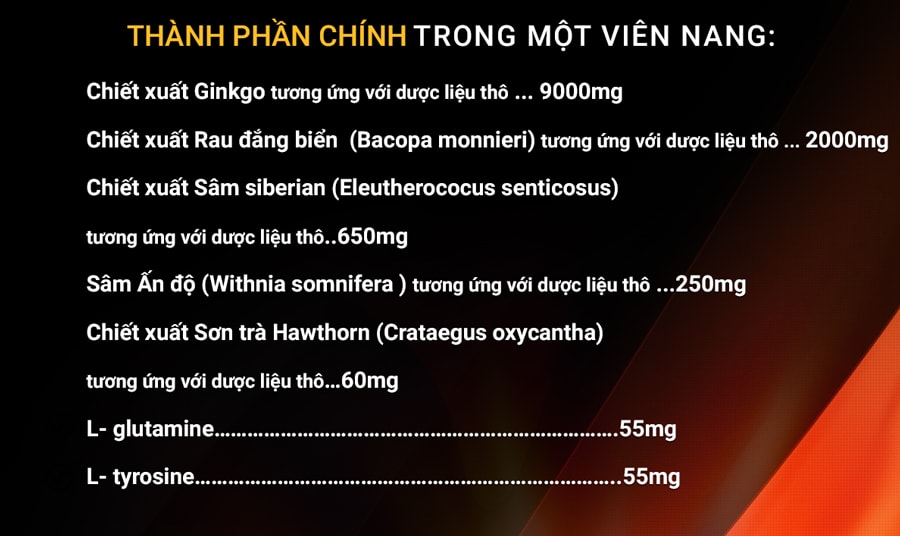 Viên uống bổ não nhập khẩu chính hãng New Zealand GO GINKGO 9000+ hỗ trợ tăng cường tuần hoàn não, cải thiện trí nhớ, tăng khả năng tập trung