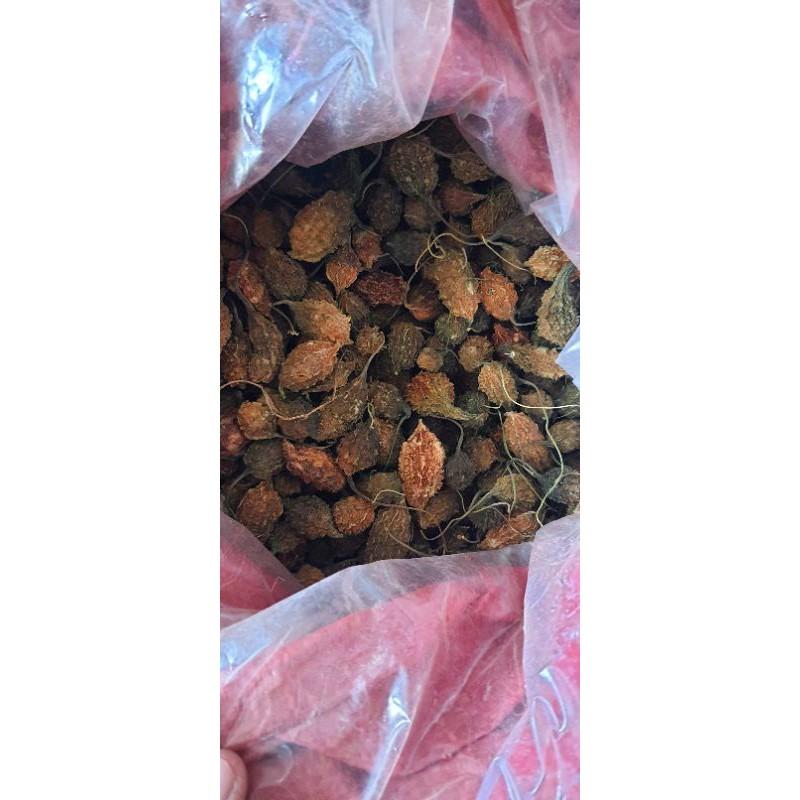 Khổ qua rừng nguyên trái hút chân không giảm mỡ máu hiệu quả