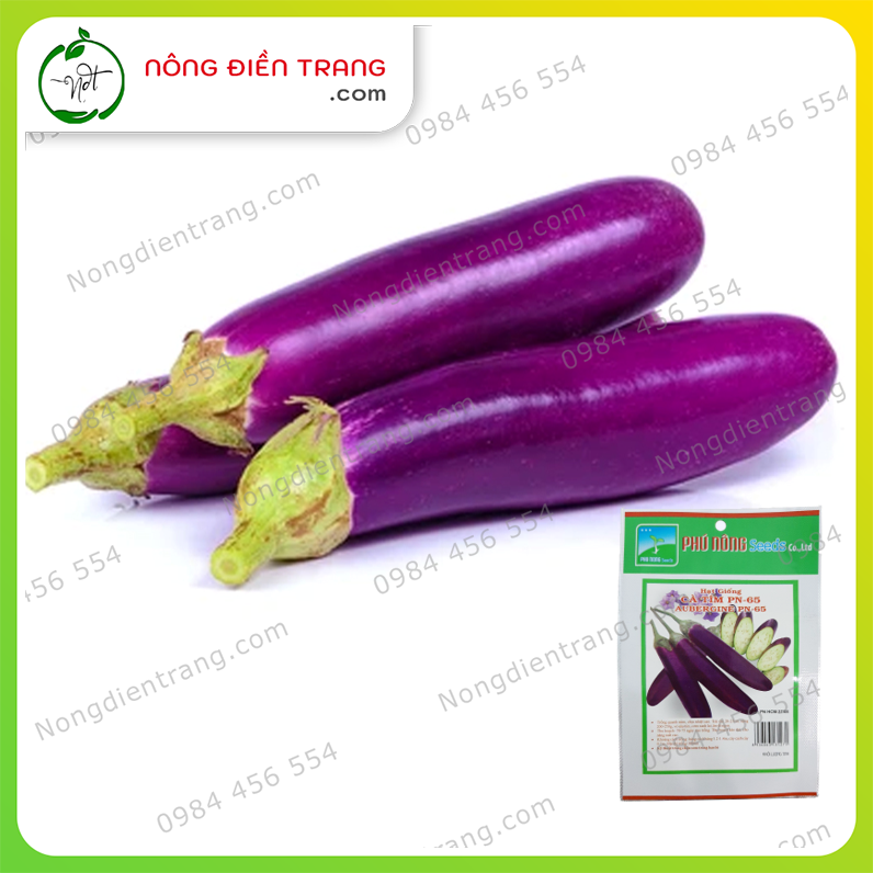 Hạt Giống Cà Tím Dài F1 Cao Sản Phú Nông - Gói 0.2g - Giống Tốt Sai Quả Dễ Trồng Trồng Quanh Năm Độ Nảy Mầm Cao VTNN Nông Điền Trang