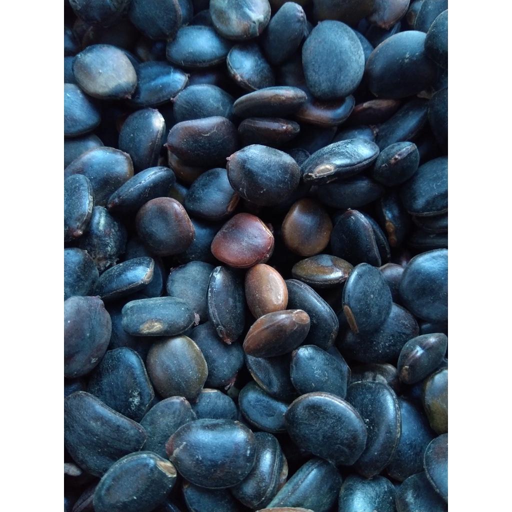 0.5 KG HẠT GIỐNG LIM XẸT