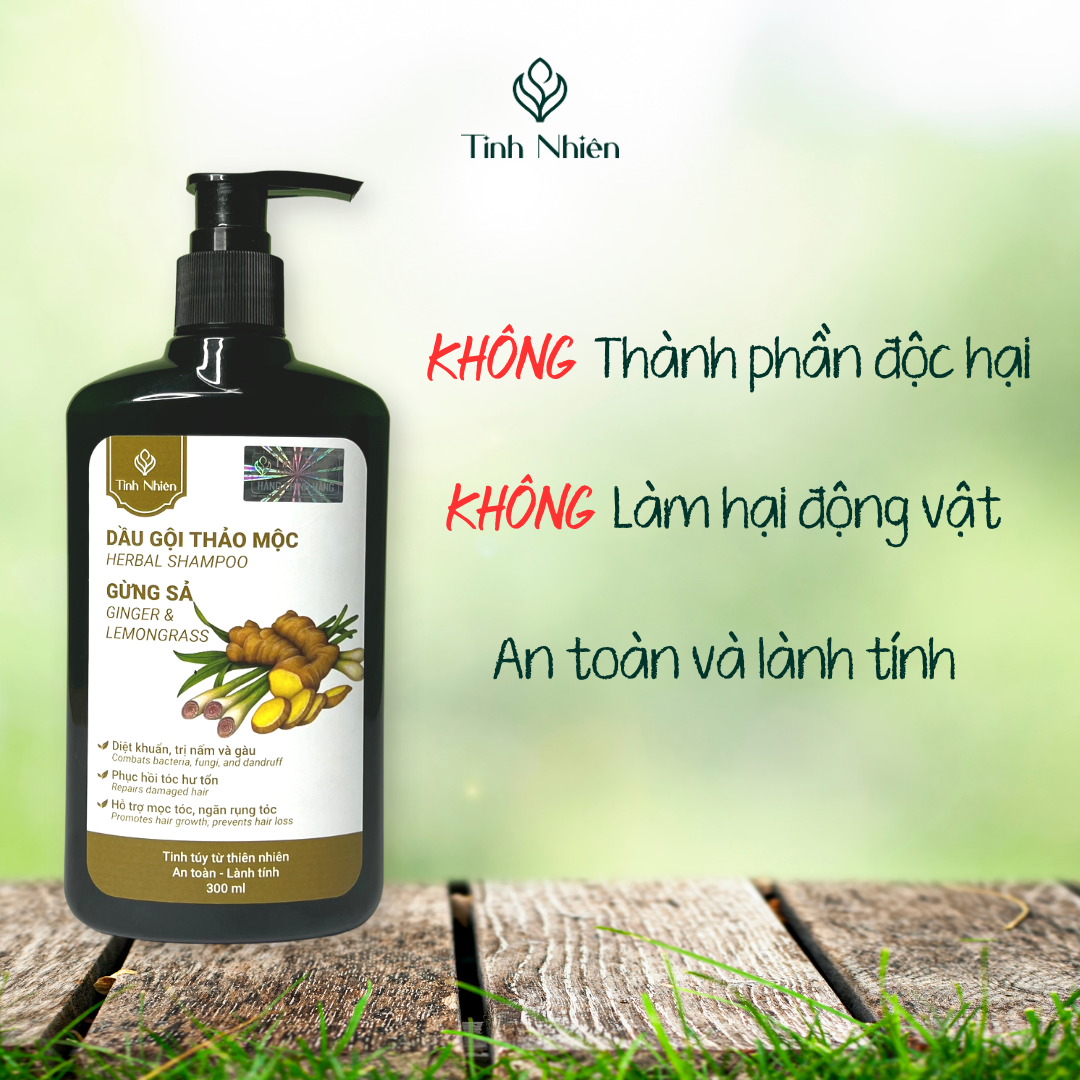 Dầu Gội Thảo Mộc Gừng Sả Tinh Nhiên 300 ml ngăn ngừa gàu ngứa, giúp tóc suôn mượt