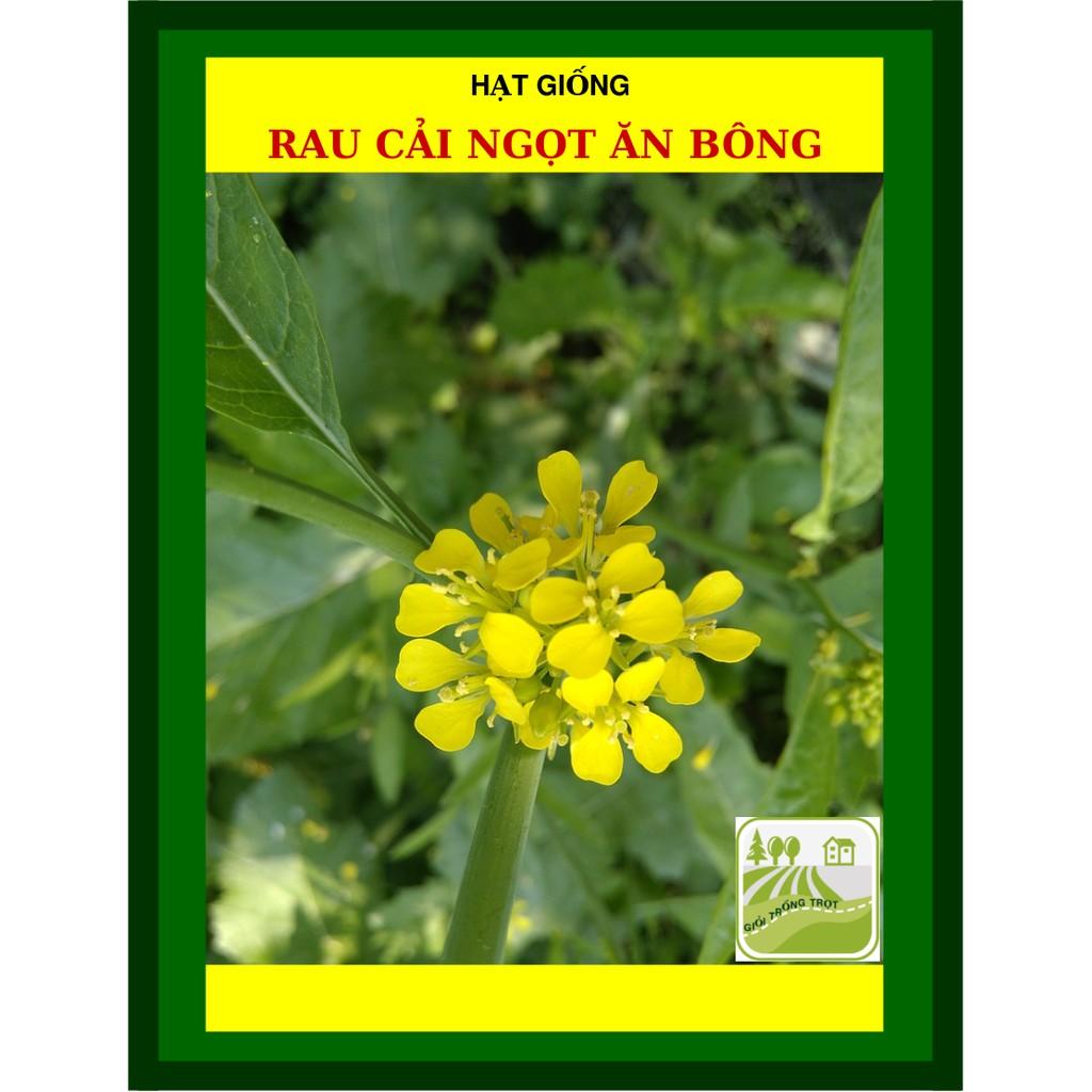 Gói 20gram - Hạt Giống Cải ngọt Ăn Bông Rạng Đông - Shop Hạt Giống Ba Miền Chịu Nhiệt