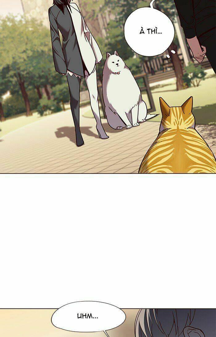 biến thân thành mèo chapter 81 32