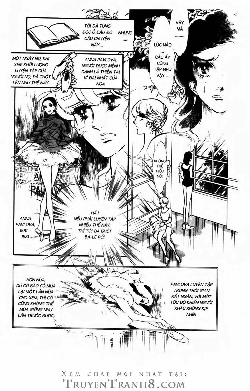 swan - vũ khúc thiên nga chapter 78 4