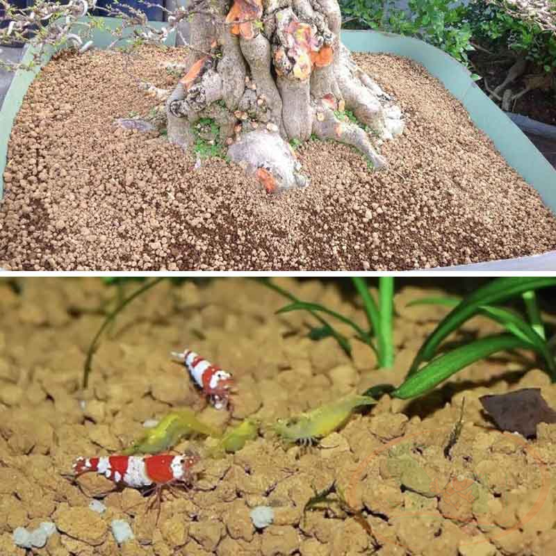 Nền Shosei Akadama Soil đất nung giá thể trồng cây bonsai sen đá bể thủy sinh cá tép