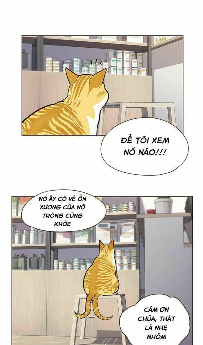 biến thân thành mèo chapter 10 43