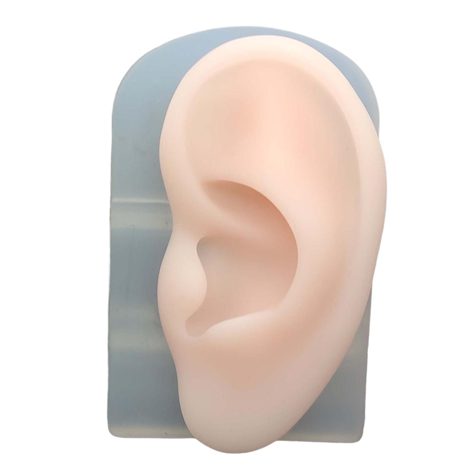 2Pcs Human Body Part Model Flexible Mold for Piercing Exercises Ears