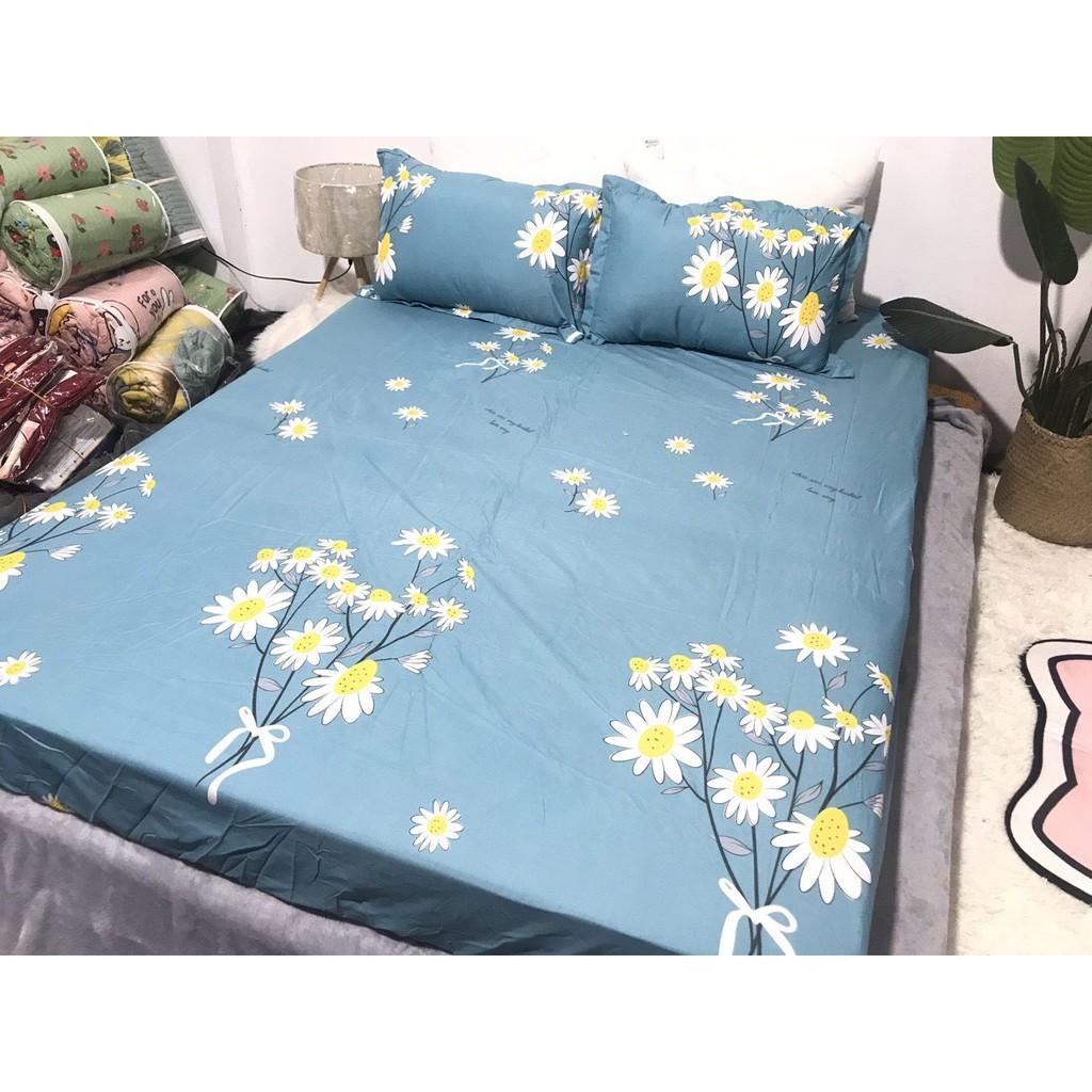 Ga trải giường,drap ga giường poly cotton,mẫu cành cúc xanh