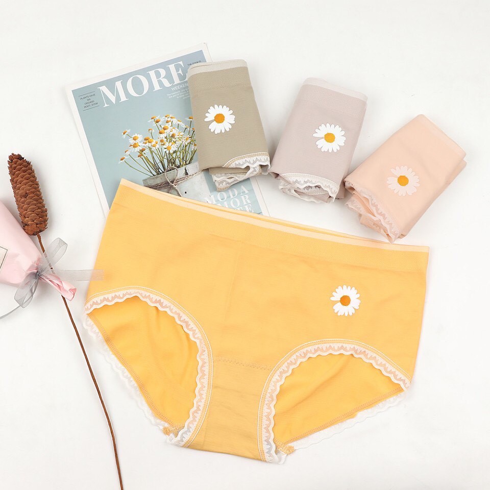 Hộp 4 quần lót cotton hoa cúc cho nữ có hộp đựng sang trọng, chất liệu mềm mại, co giãn 4 chiều, thấm hút mồ hôi tốt, freesize từ 45-70kg