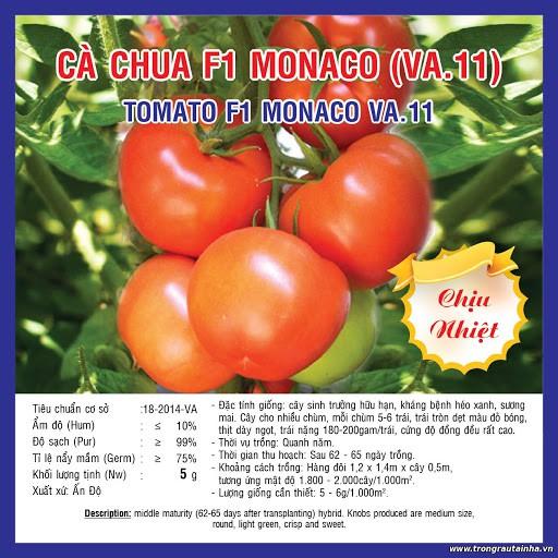 Hạt giống cà chua MONACO F1 chịu nhiệt - gói 0.5g